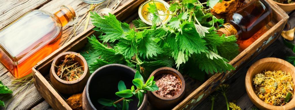 Berufshaftpflichtversicherung für Ernährungsberater berechnen Berufshaftpflichtversicherung für Ernährungsberater berechnen
